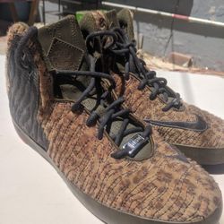 Nike LeBron James Shoes
