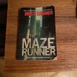 The Maze Runner