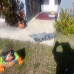 Frog Colorful Flower Pot 