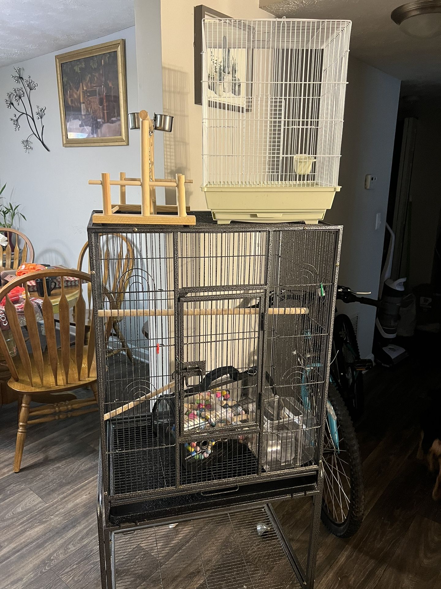Bird Cages, Toys And Stands, Play Gym, Carrier, Extra Cage