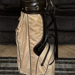 mizuno golf bag with golf clubs 