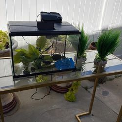 Fish Aquarium 5 Gallon