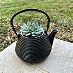 Reimagined Tea Pot