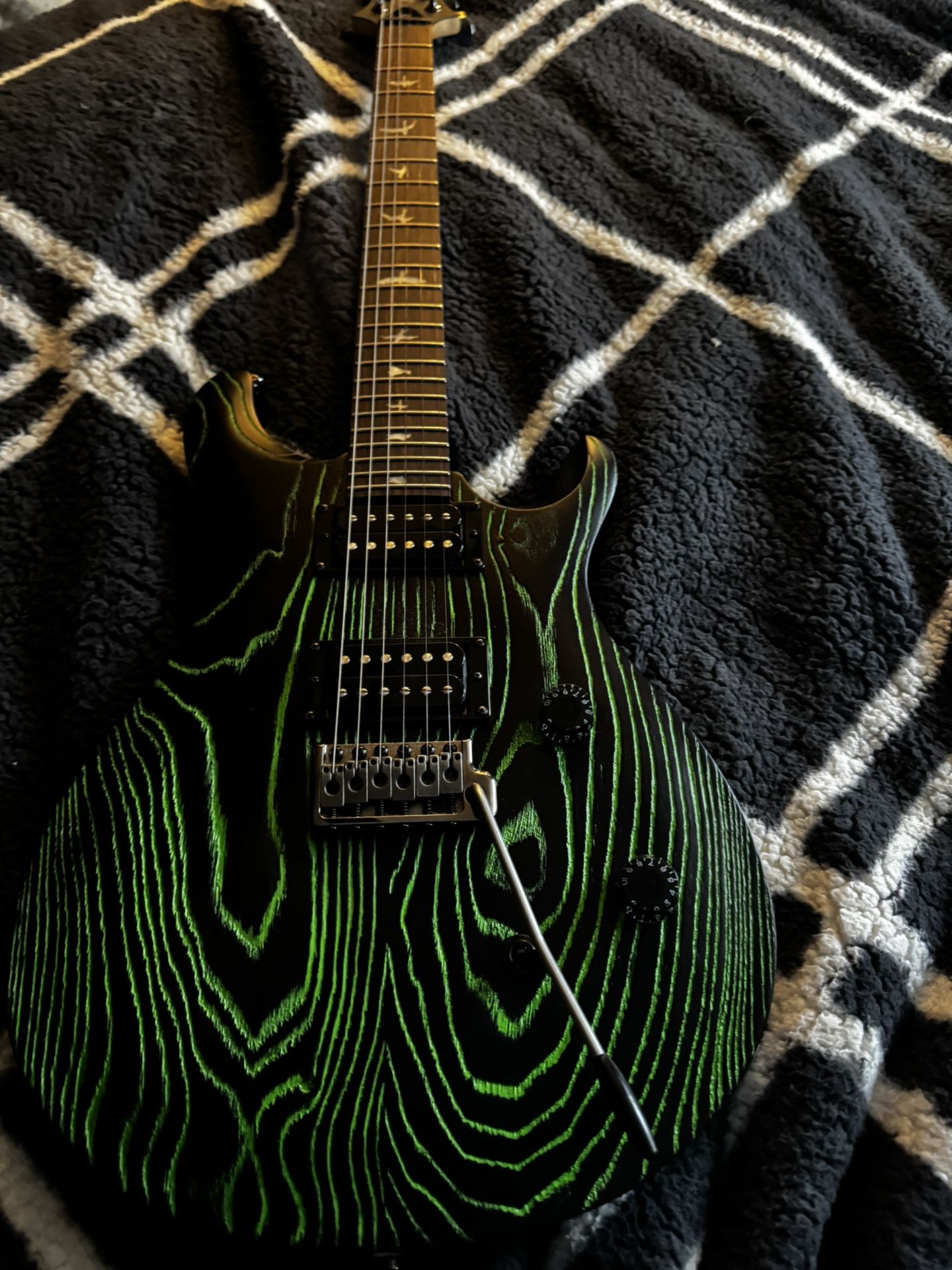 PRS SE Sandblasted CE 24 Electric Guitar - Sandblasted Green, Limited Edition