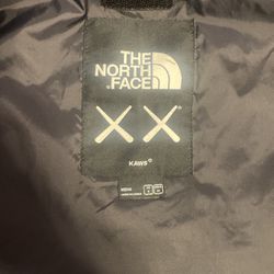 Kaws x The North Face 1986 Mountain Jacket
