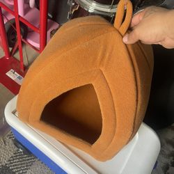 Pumpkin Cat House 