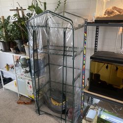 Greenhouse 