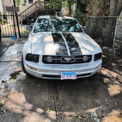 2006 Ford Mustang