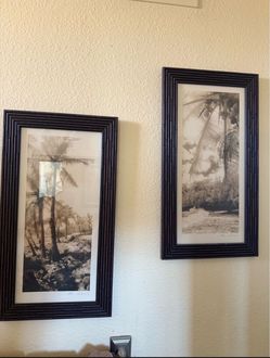 Framed Tropical Palm Tree Prints Set of 2