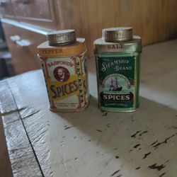 Interesting Salt And Pepper Shakers 