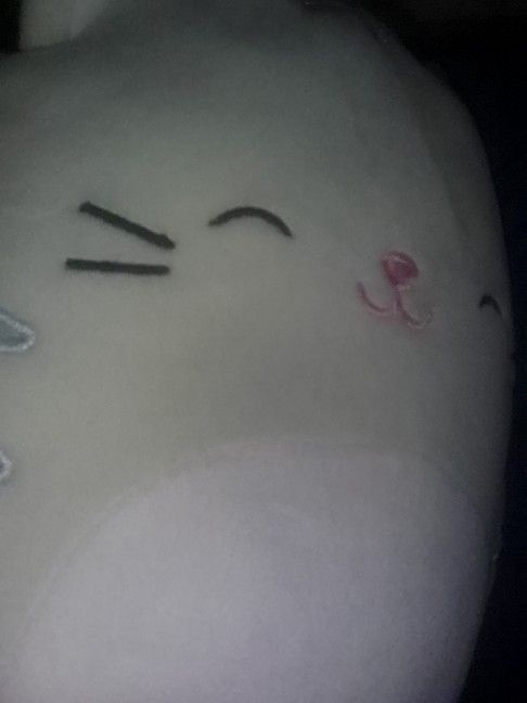 Squishmallows Cat Stuff Animal