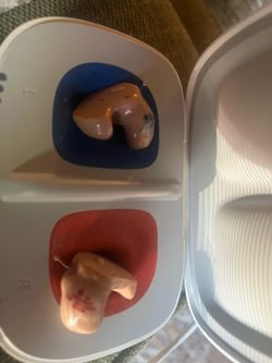 Signia Hearing Aids