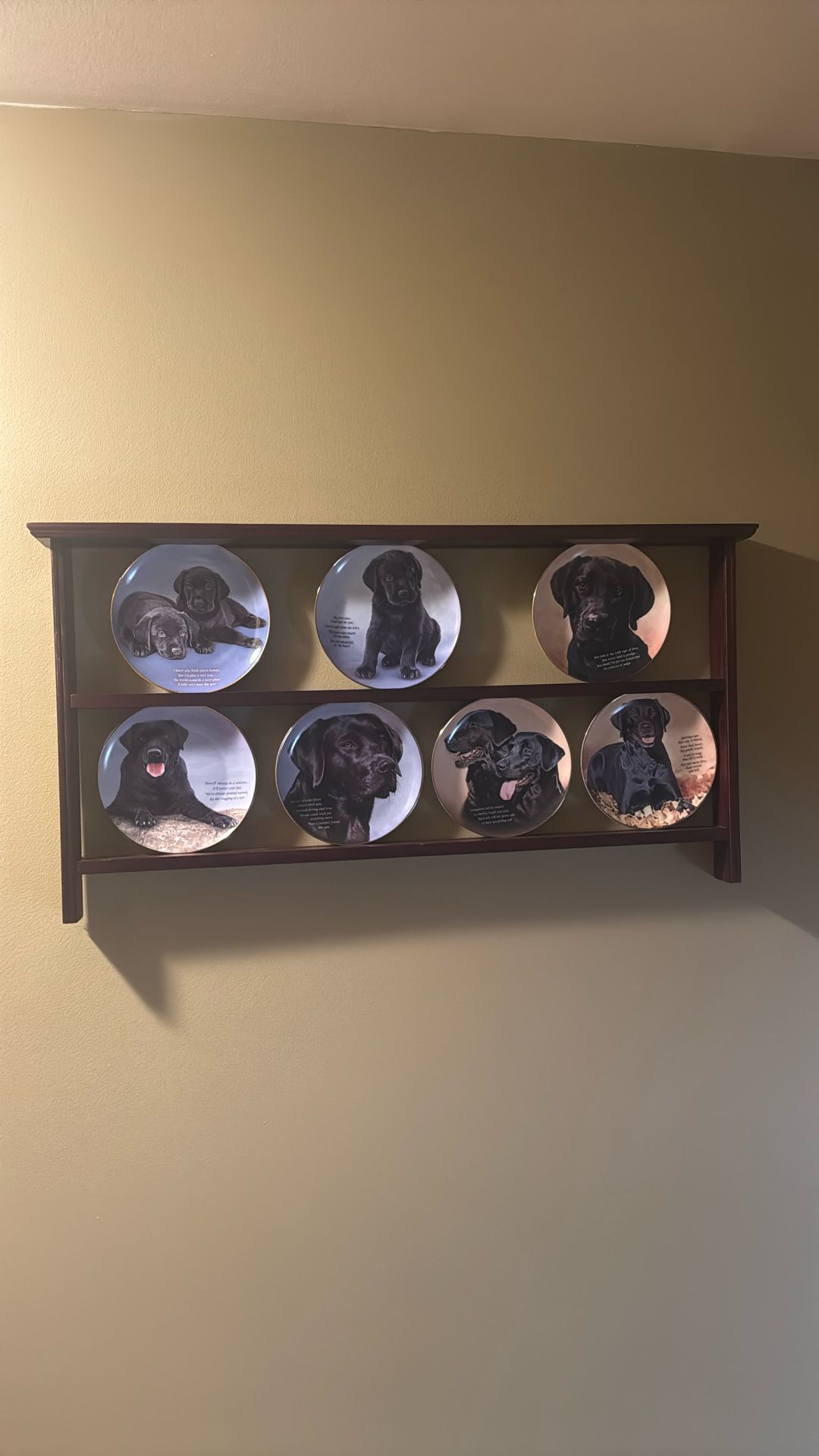 Collection Plates 7 Plates Limited Edition