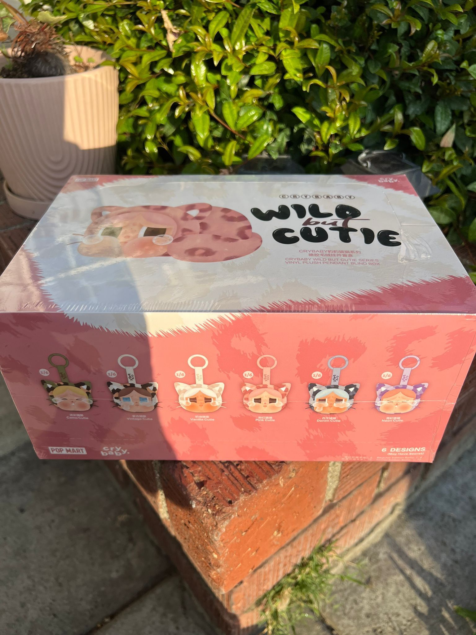 Wild Cutie
