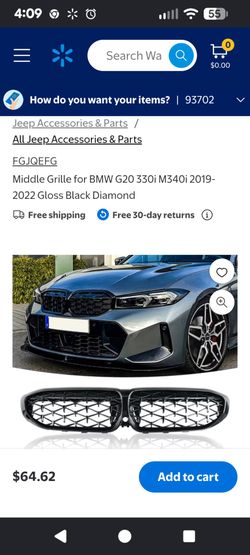 Bmw grill