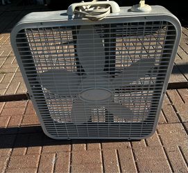 Fan