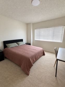 Queen Size Bed and everything