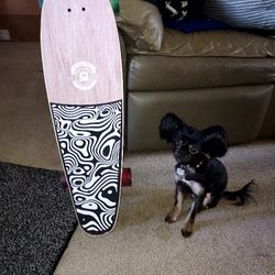 Brand New Longboard 31×9