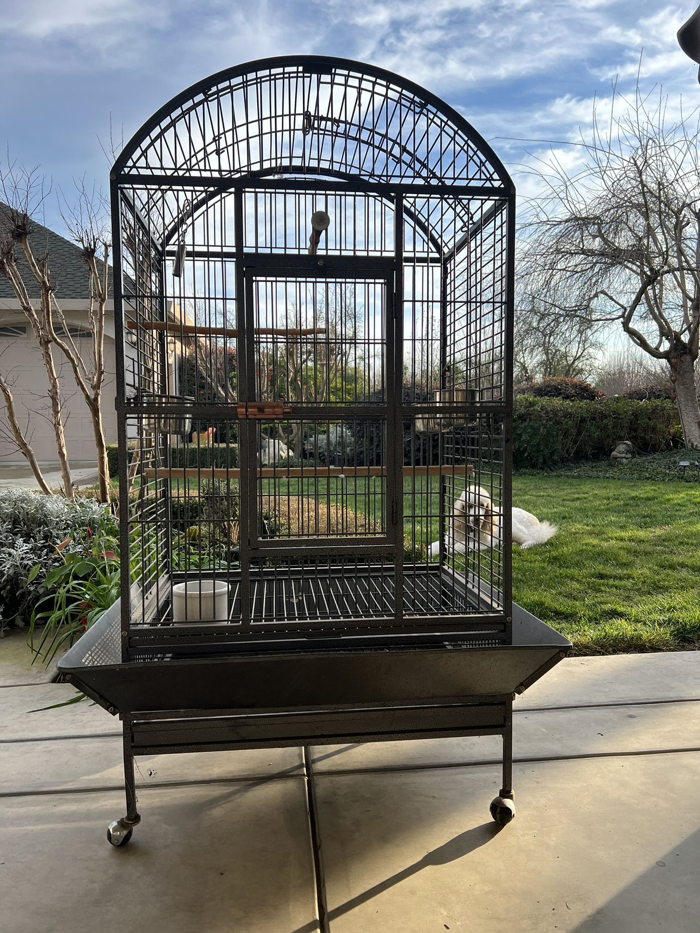 Large parrot cage