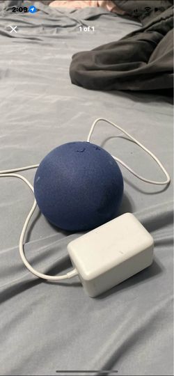 amazon alexa