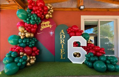 Party Backdrop with Balloon Garland Setup