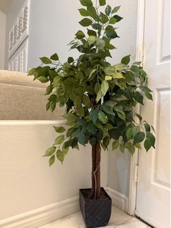 Artificial Plant