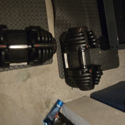1090 Bowflex Dumbells Pair