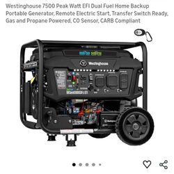 Westinghouse Home Generator