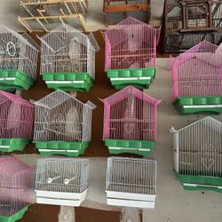 Bird Cage 