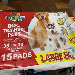 Dog items shop for sale