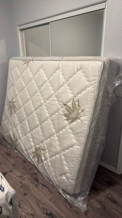 Queen memory Mattress