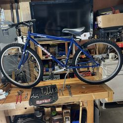 Bicycle Nishiki 