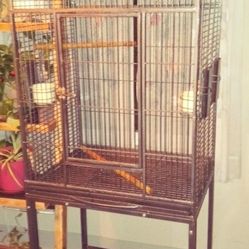 Bird Cage 