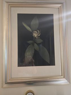 Variety of framed art work...prices vary