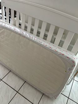 Crib with mattress free