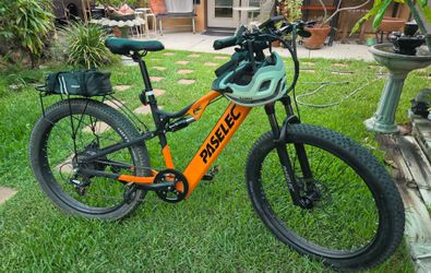 Electric Mountain Bike Paselec