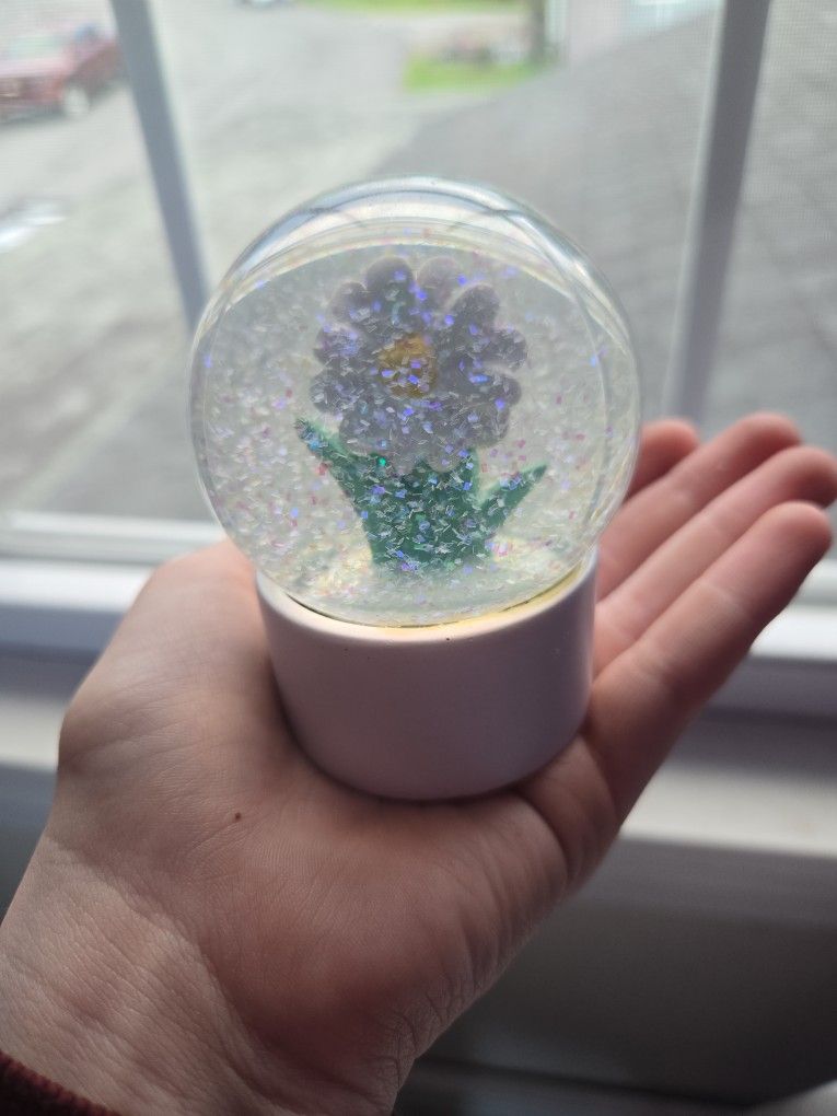 Snow globes