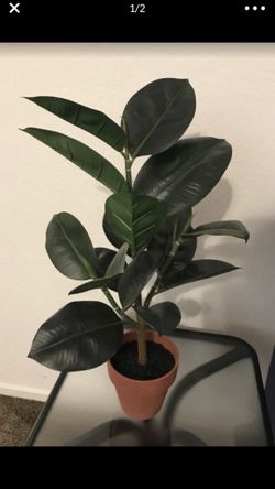 Brand new fake plant