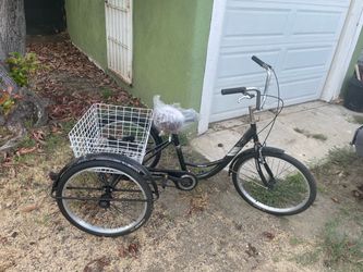 Schwinn Scarpa Adult Tricycle with Rear Basket