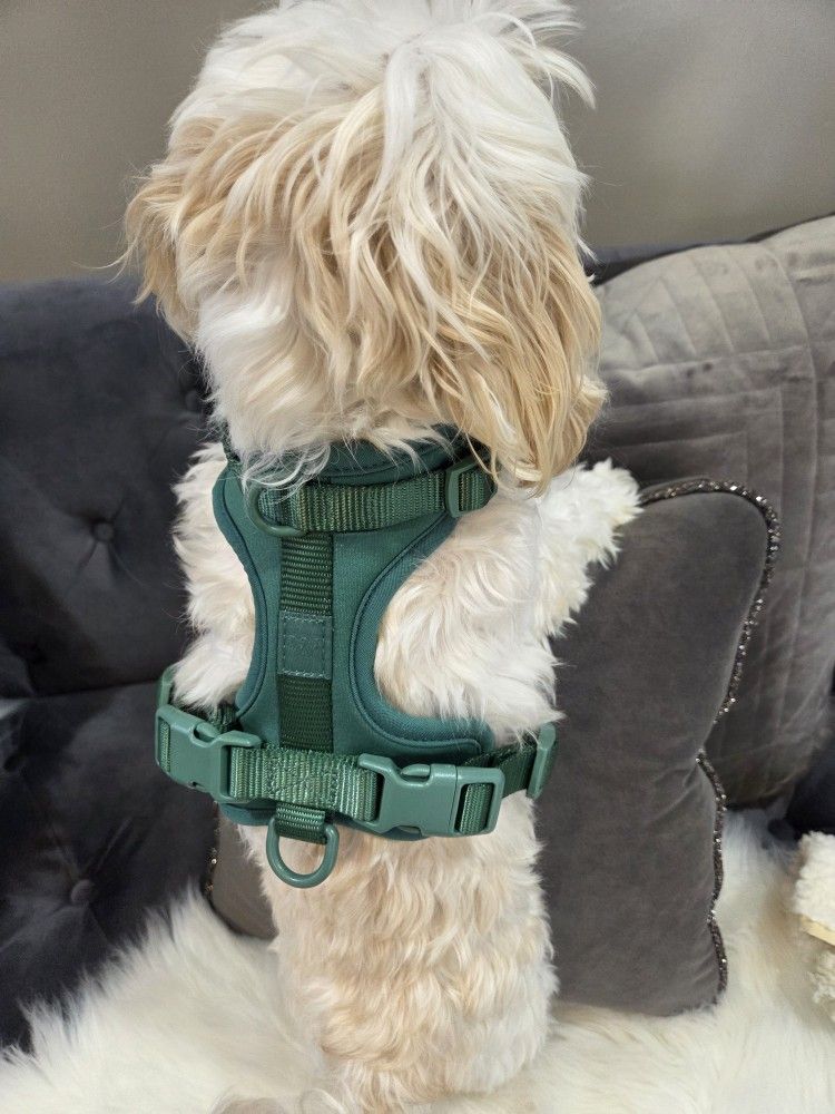 PET HARNESS SIZE SMALL $5
