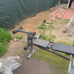 Bench And Barbell 2 25lbs Weight 