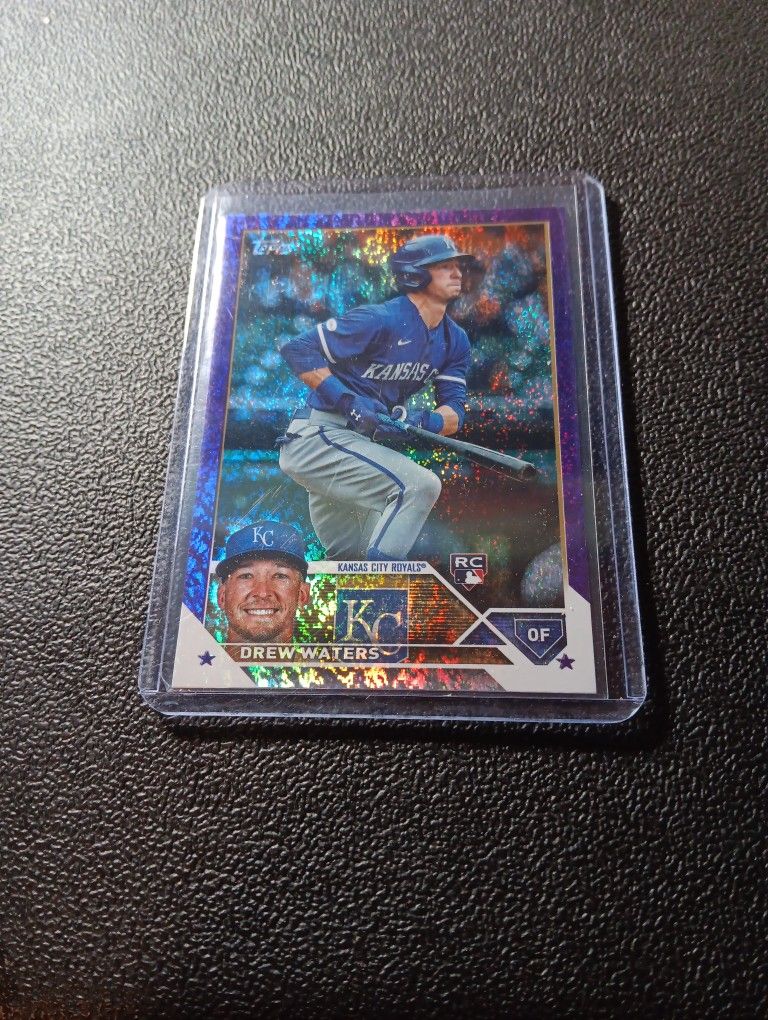 2023 Purple Rainbow Speckle