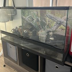 Large Reptile Enclosure Habitat 