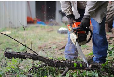 Tree trimmer bush trimmer