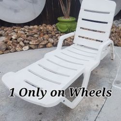 Lounge Chair Palm Springs 