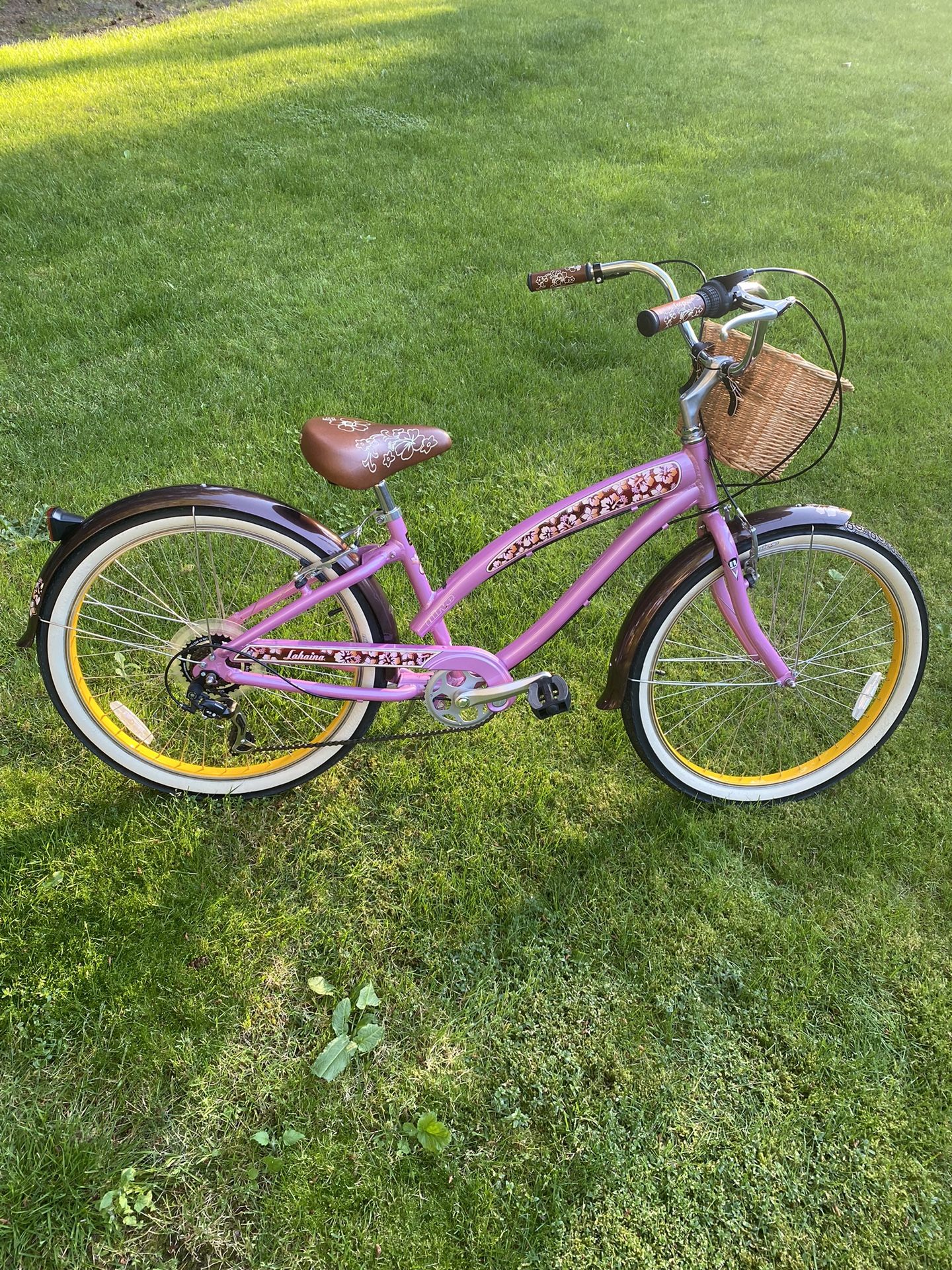 Nerve Cruiser Bicycle