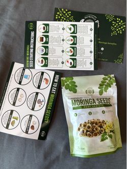 Moringa seeds for growing and eating