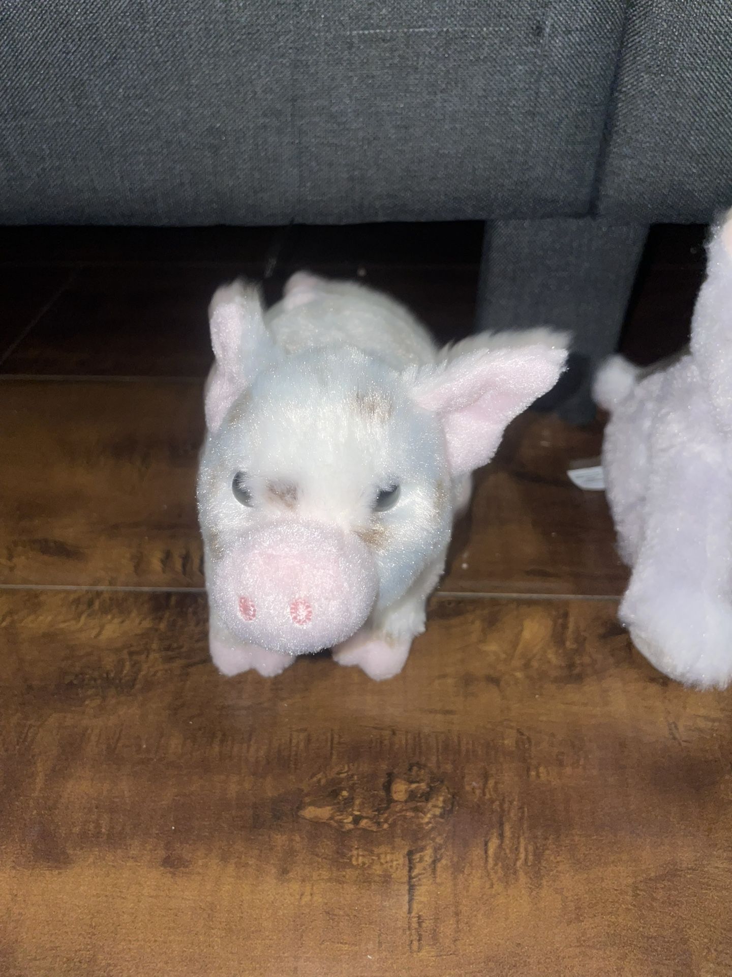 Pig Plush