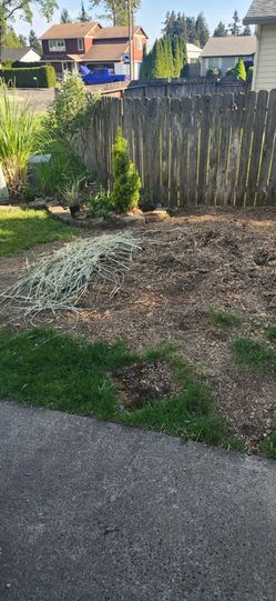 Free bark mulch