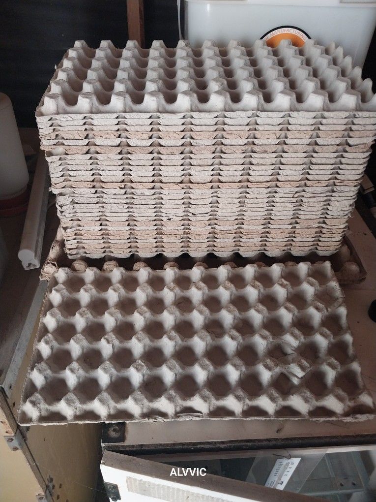 Quail Egg Cartons